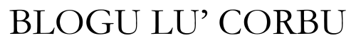 Blogu Lu Corbu